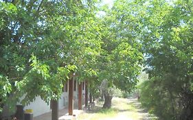 Agriturismo Su Tiresi