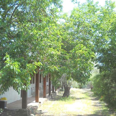 Agriturismo Su Tiresi Cala Gonone Buitenkant foto