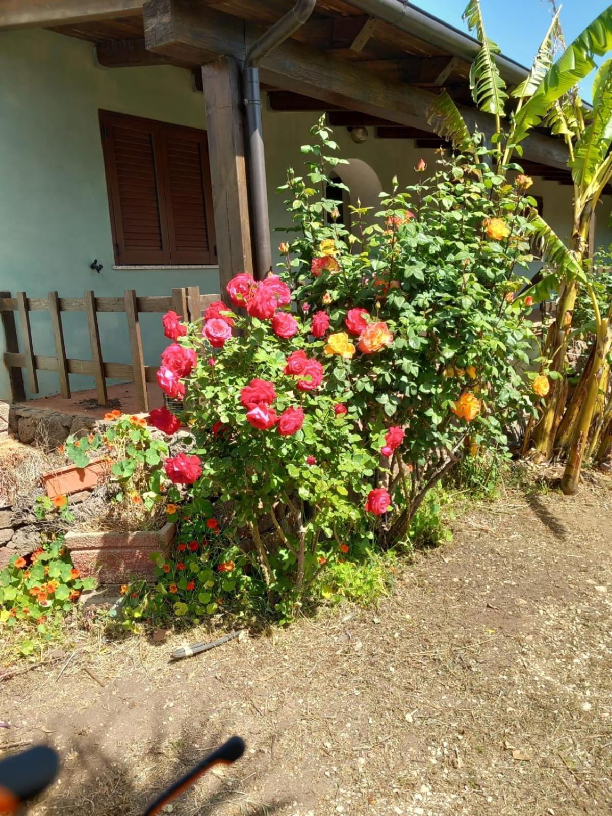 Agriturismo Su Tiresi Cala Gonone Buitenkant foto