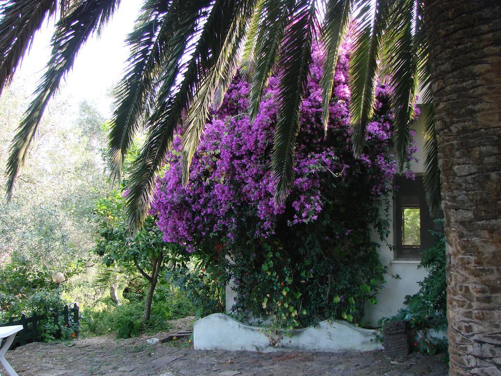 Agriturismo Su Tiresi Cala Gonone Buitenkant foto