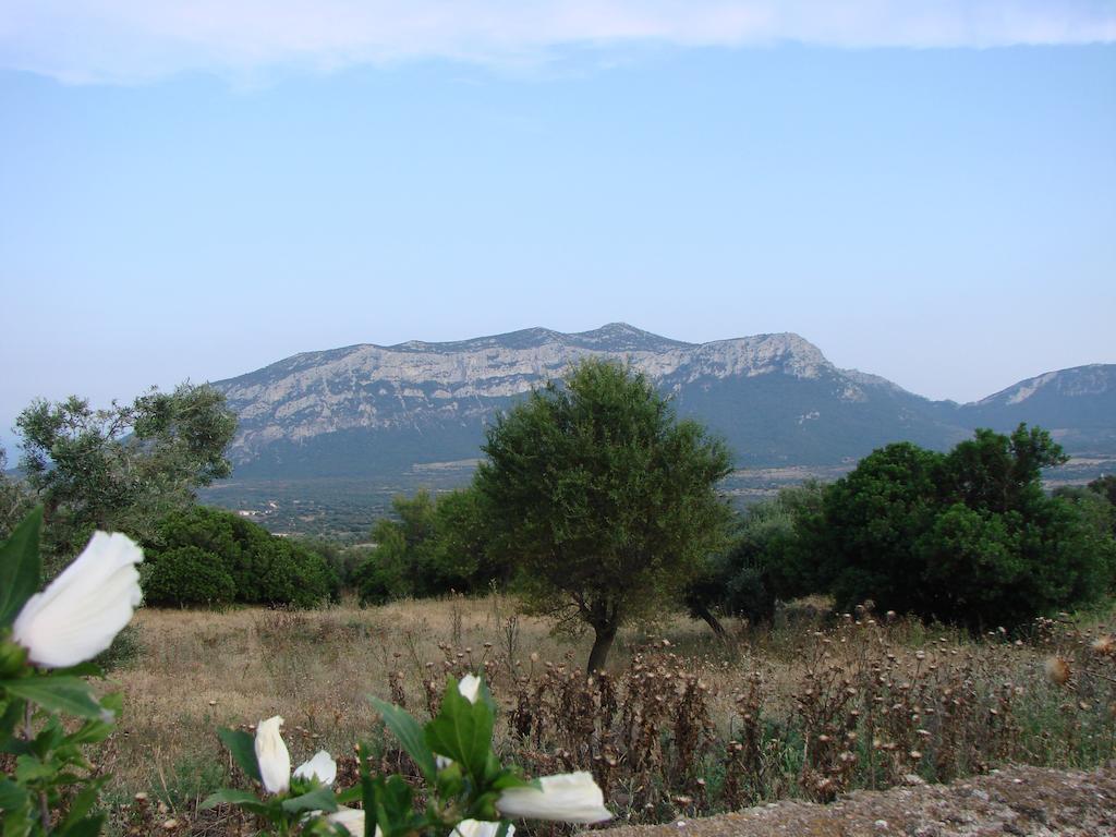 Agriturismo Su Tiresi Cala Gonone Buitenkant foto