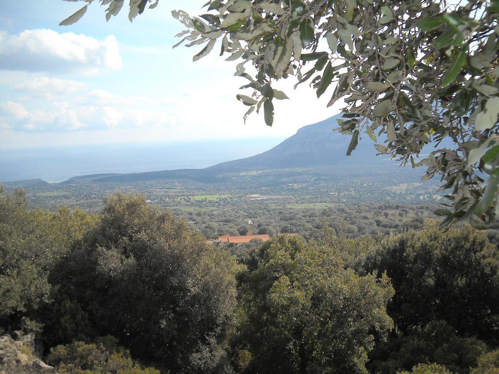 Agriturismo Su Tiresi Cala Gonone Buitenkant foto