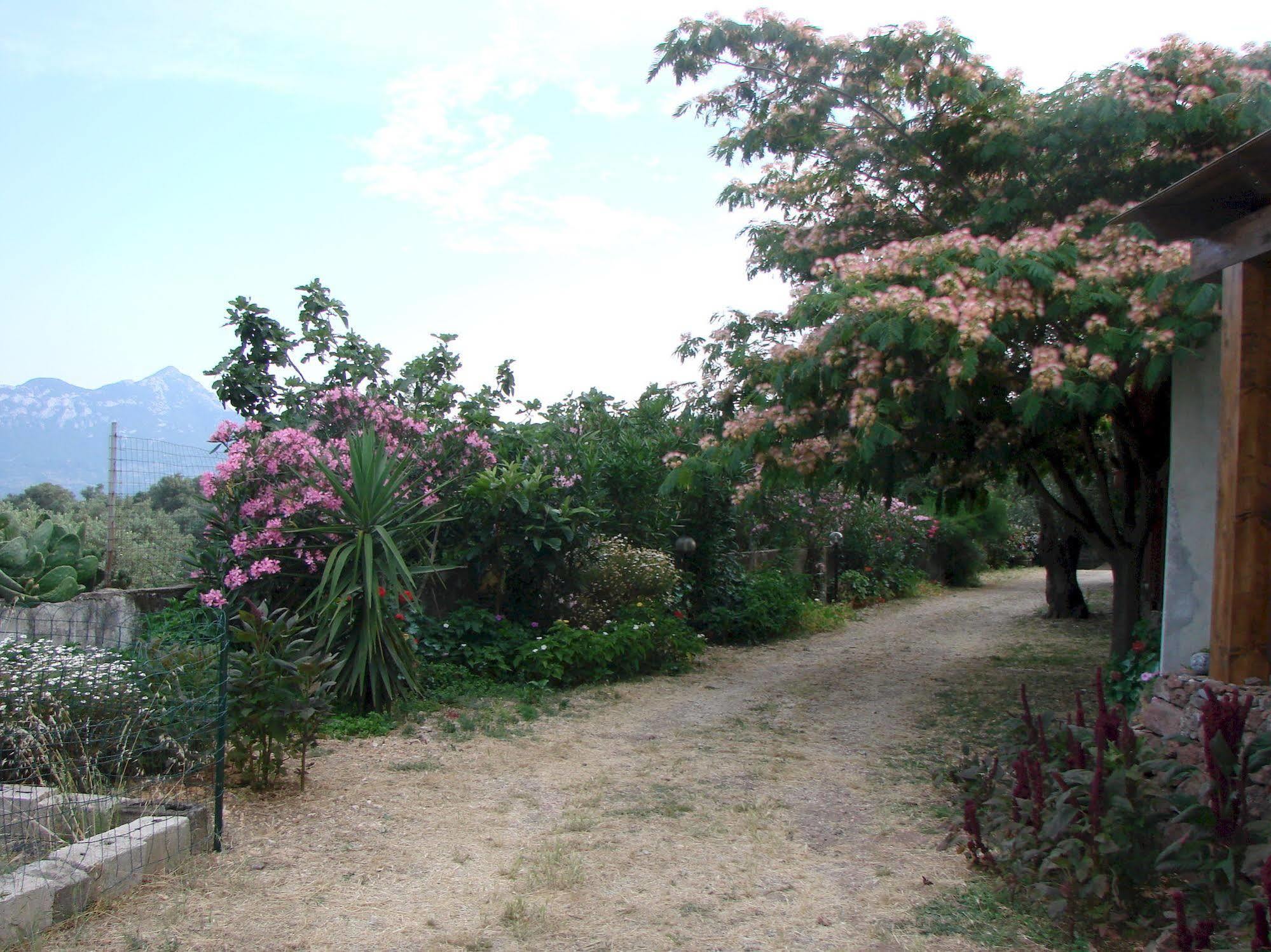 Agriturismo Su Tiresi Cala Gonone Buitenkant foto