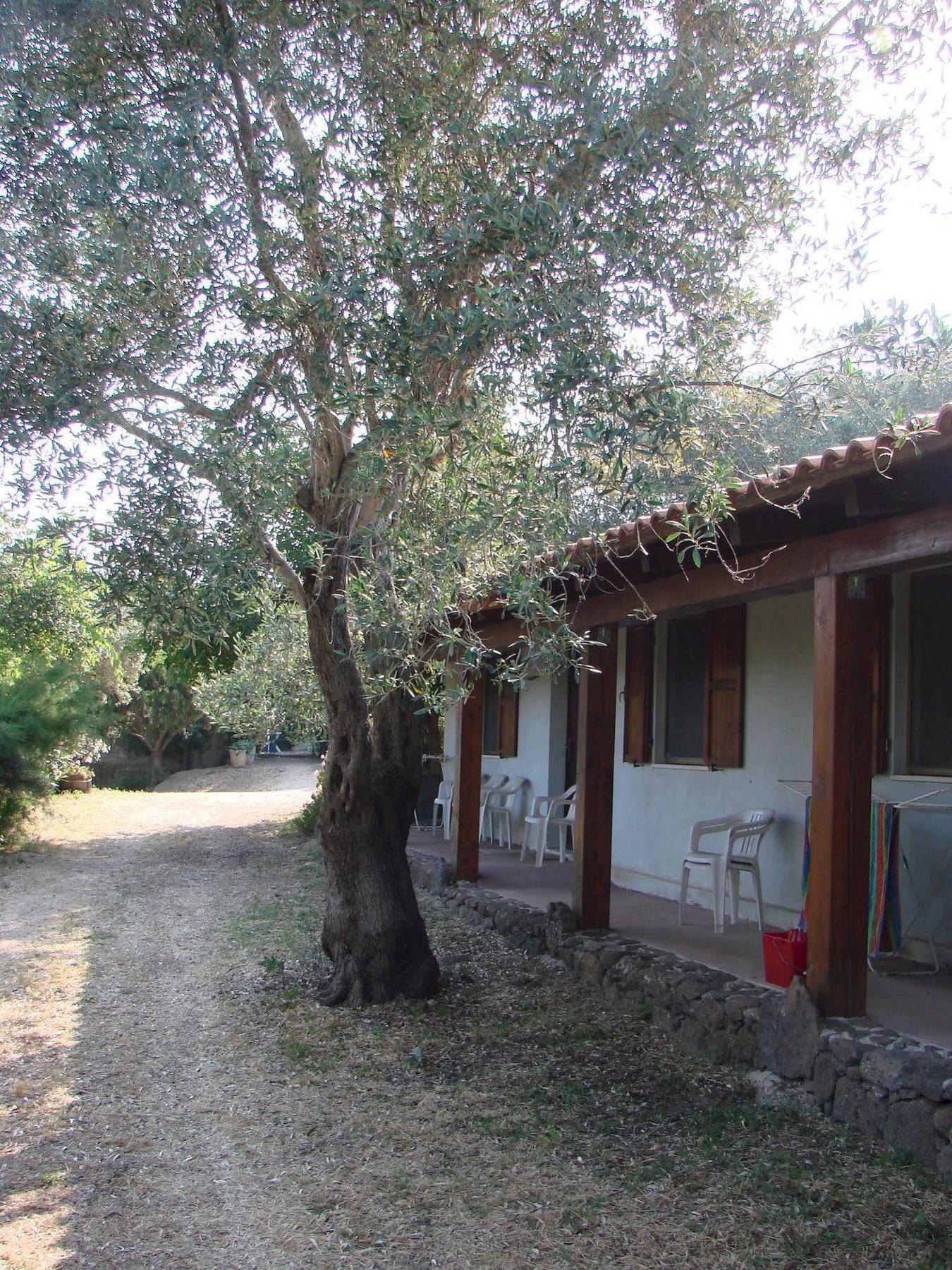 Agriturismo Su Tiresi Cala Gonone Buitenkant foto
