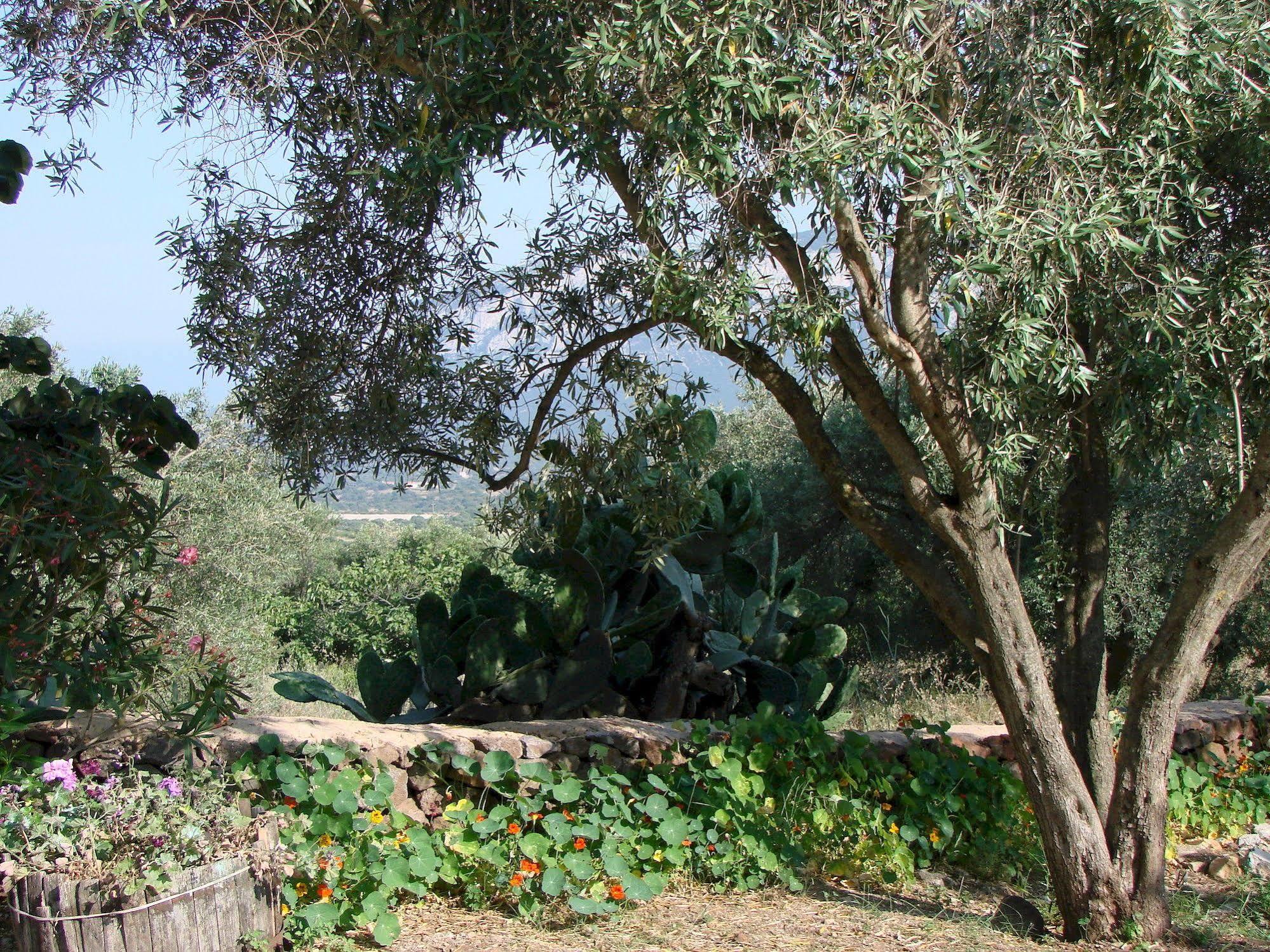 Agriturismo Su Tiresi Cala Gonone Buitenkant foto