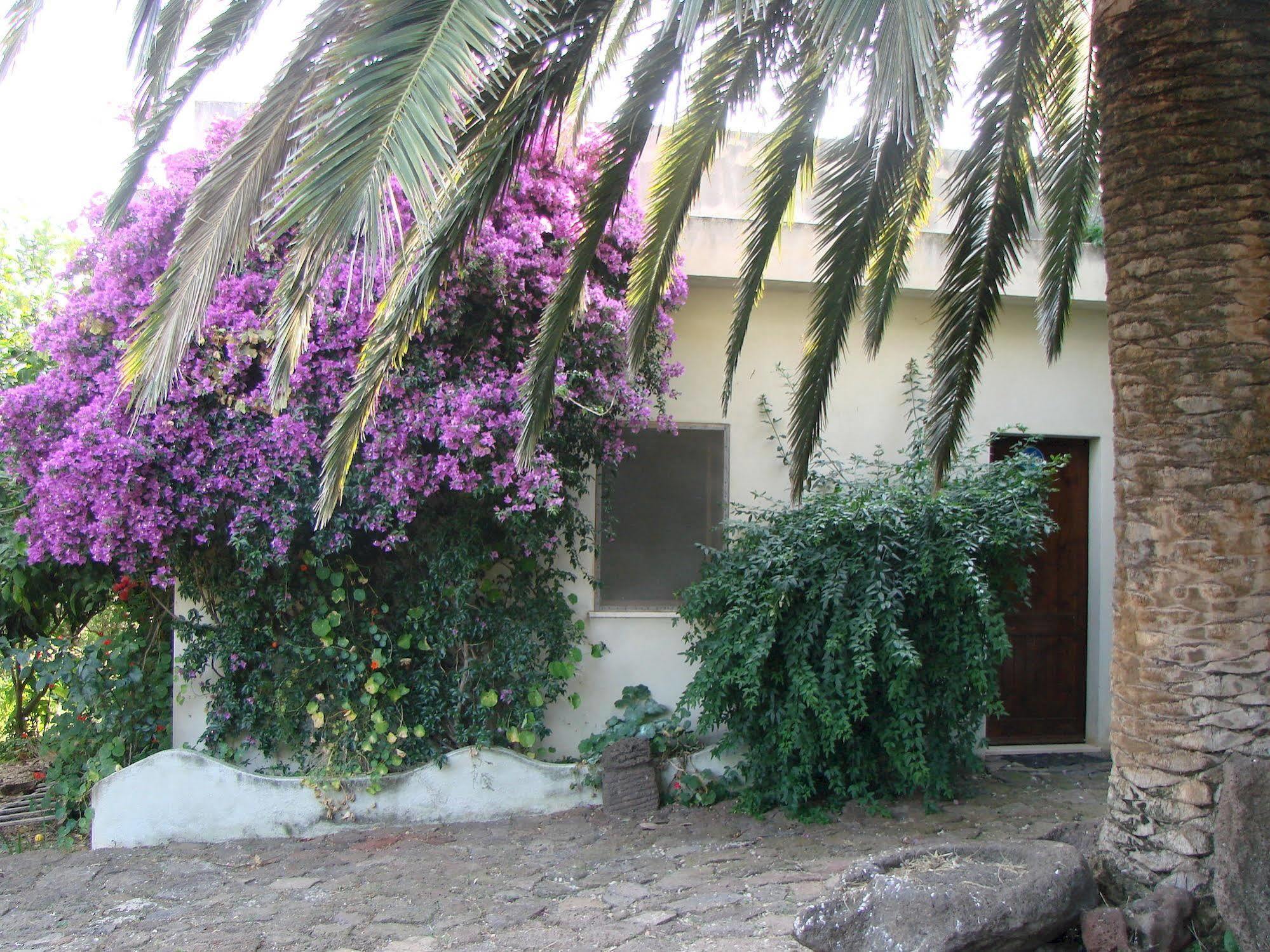 Agriturismo Su Tiresi Cala Gonone Buitenkant foto