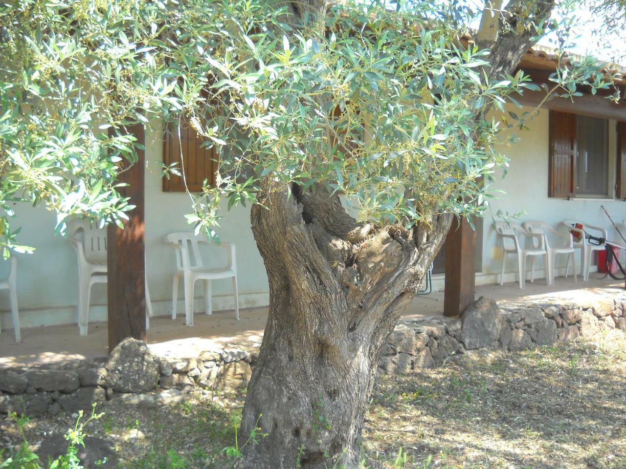 Agriturismo Su Tiresi Cala Gonone Buitenkant foto