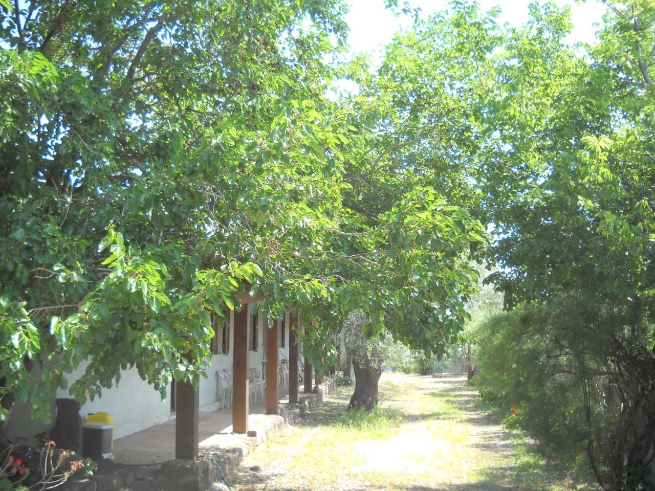 Agriturismo Su Tiresi Cala Gonone Buitenkant foto