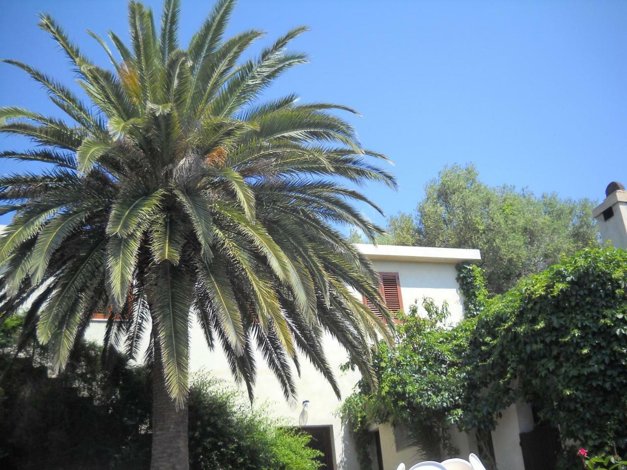 Agriturismo Su Tiresi Cala Gonone Buitenkant foto